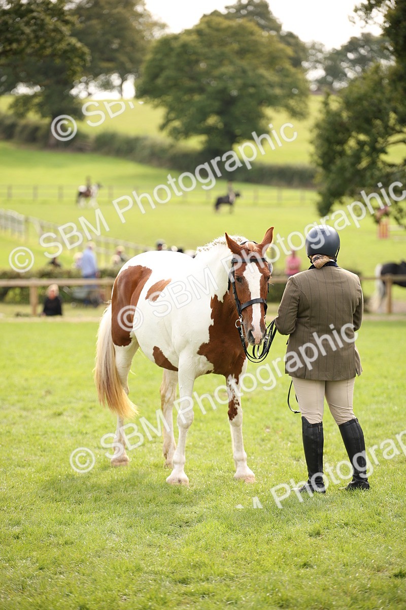 SBM_70418 - S66 - Hunter Ridden