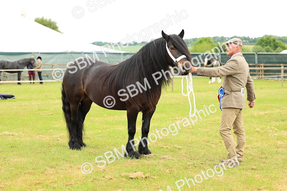 SBM_00635 - Class 58-67 - M&M Non Welsh Pony In hand