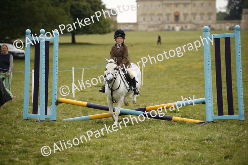 20250517-0875 - Class 2 - 30cm Off Lead Rein