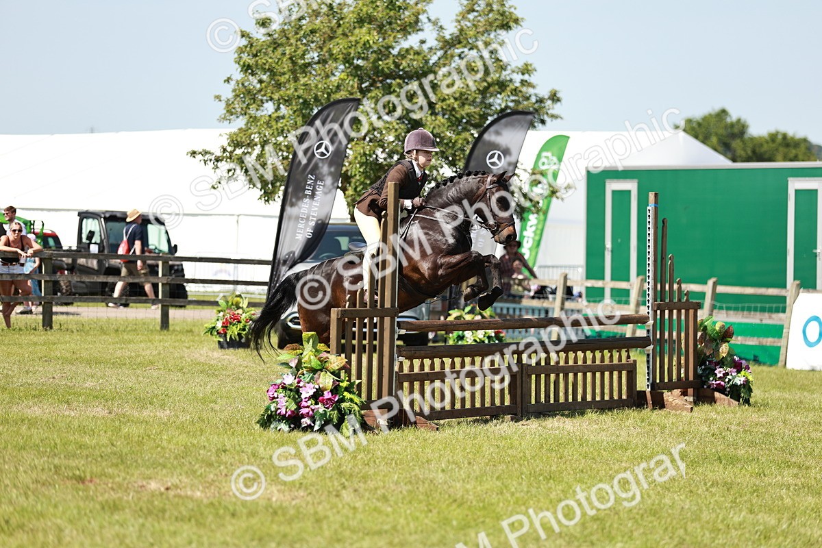 SBM_17648 - Class 112-113 - BSPS LIHS Working Sports Pony