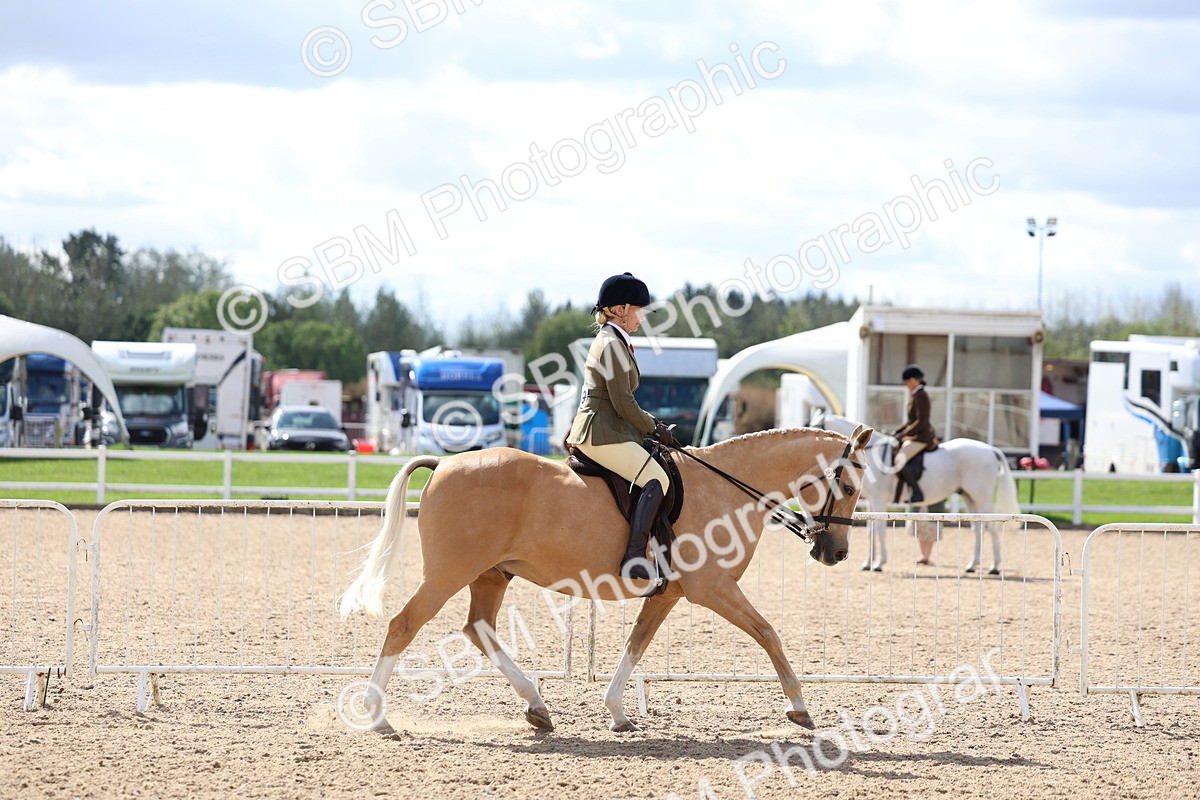 SBM_13260 - Class 311 - Ridden Show Pony Show Hunter Pony