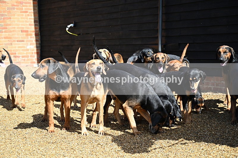 WJ7_7098 - Berks & Bucks at Blandy’s Farm 31-08-25