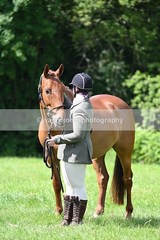 WJ7_1488 - Class 11 Condition & Turnout