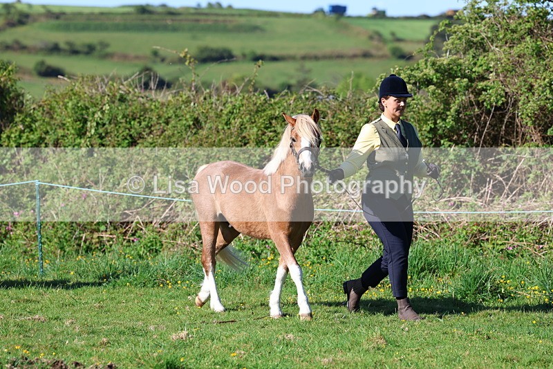 3E7A8318 - Class 12: M & M Small Breeds