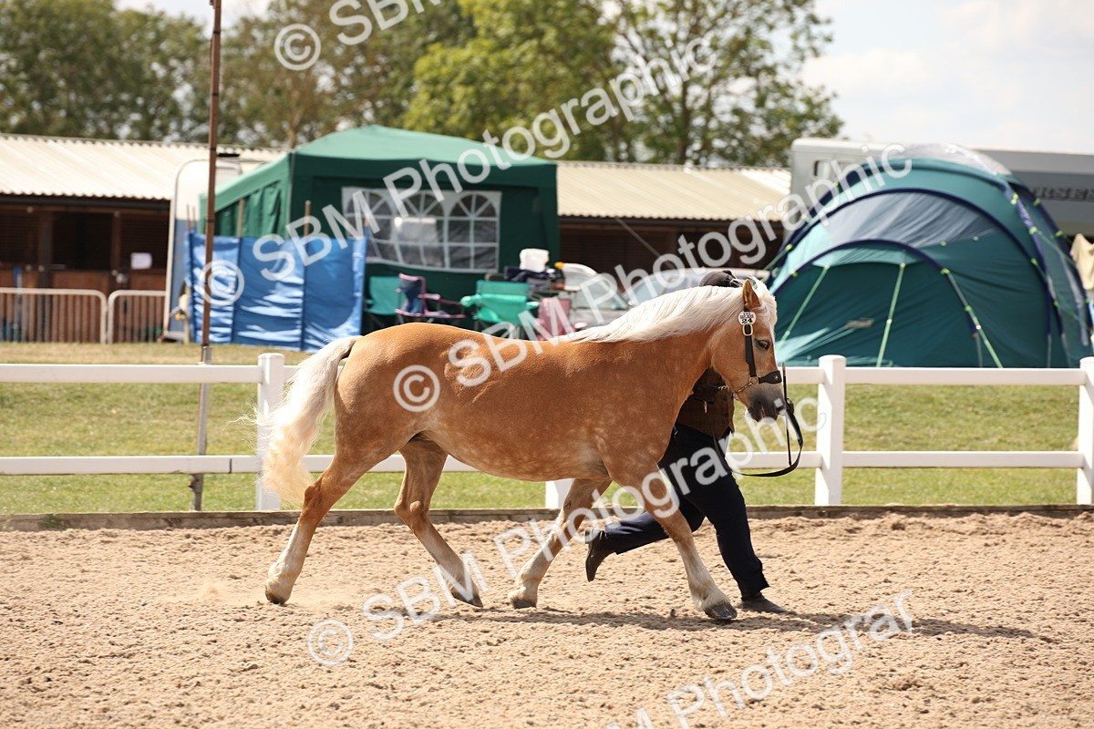 SBM_04566 - Class 20 IH Veteran