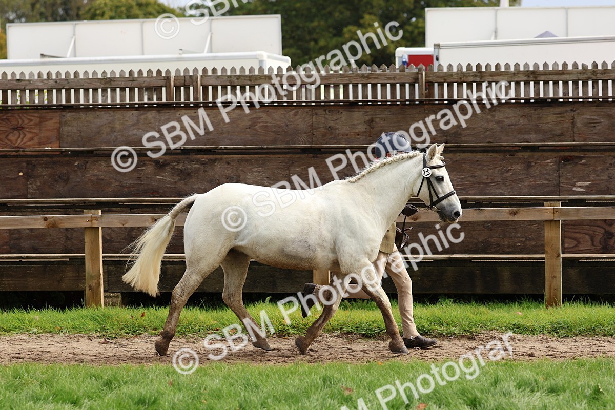 SBM_40734 - S25 -  Veteran In Hand