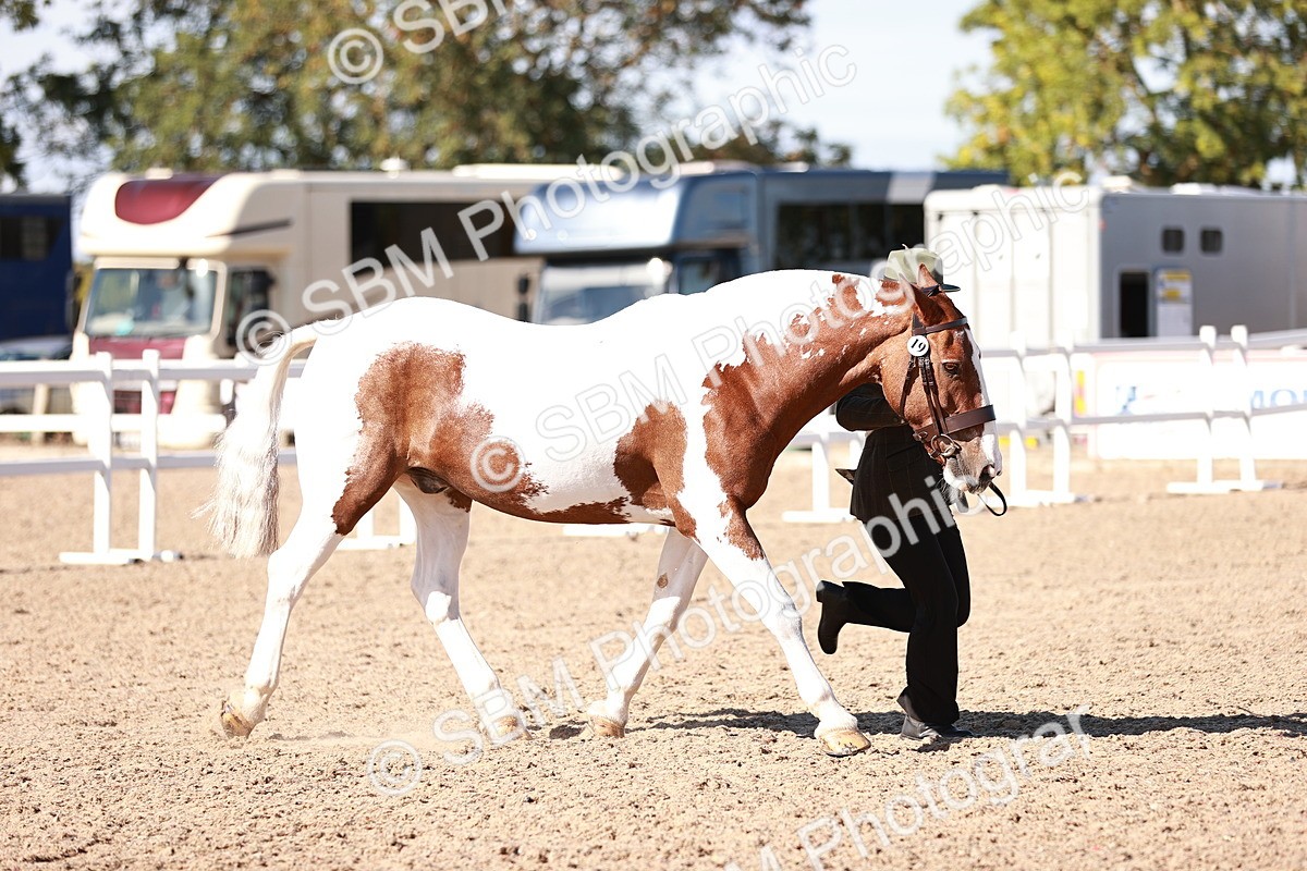 SBM_13219 - Class 405 - IH Show Cob