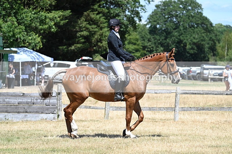 WJ7_2862 - Class 7 Riding Club Show Horse