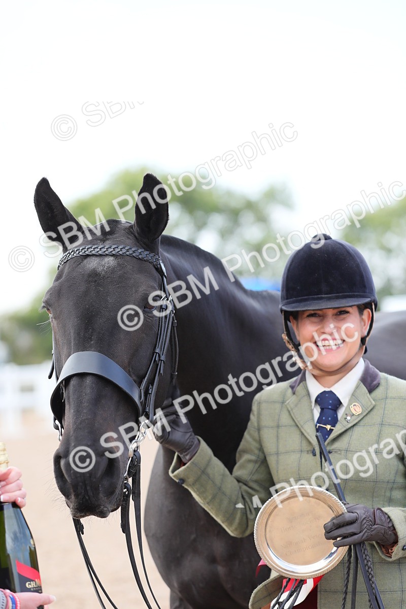 SBM_15850 - Class 312 IH Competition Horse/Pony