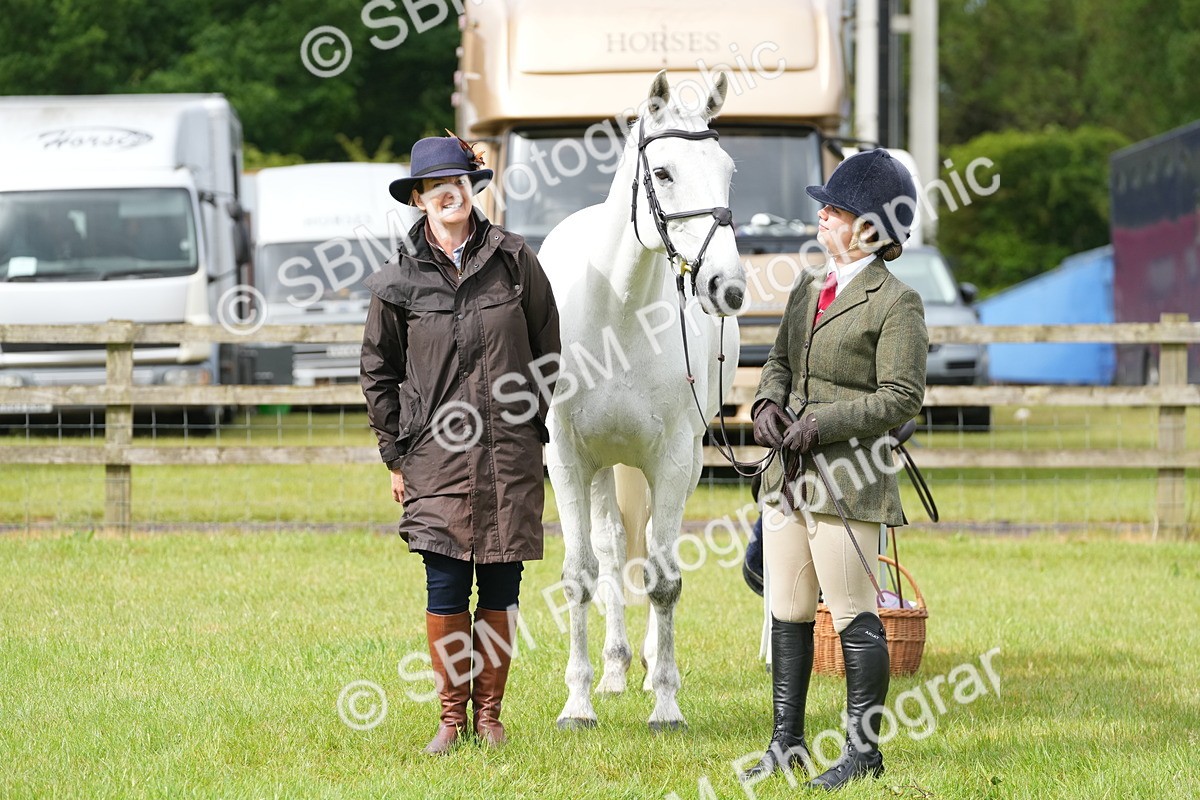 SBM_12723 - Class 97-98 - LIHS BSHA Rising Star Working Show Horse Hunter