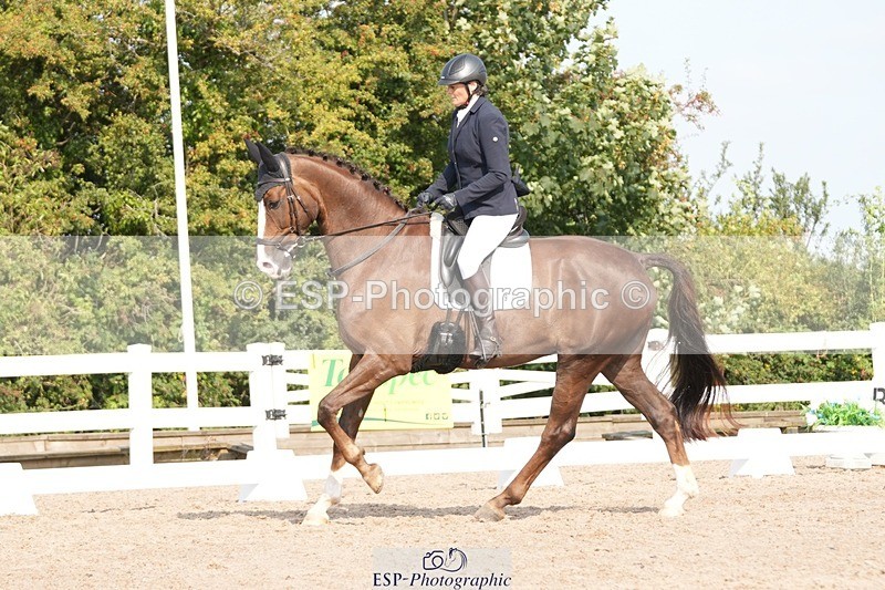 250817-095956-07950 - 097-Susie.CullenSir.Safir.Caledonia