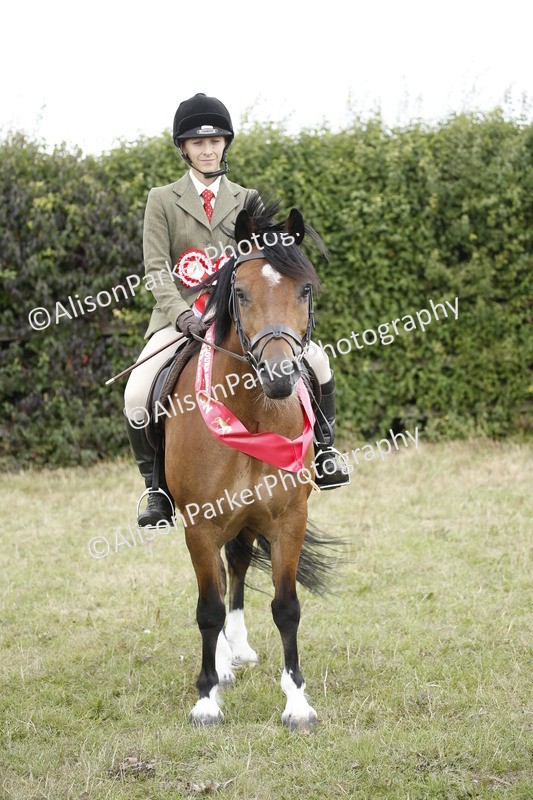 20250831-4498 - SUPREME CHAMPIONSHIP