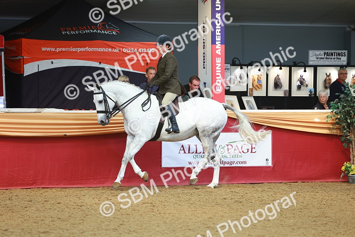 SBM_10617 - Class 103 - HOYS Veteran Qualifier - Ridden Pre Vet