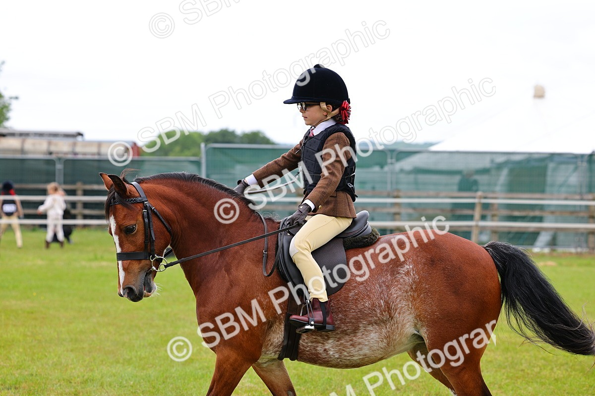 SBM_08764 - Class 42-43 - LIHS BSPS Heritage Working Sports Pony