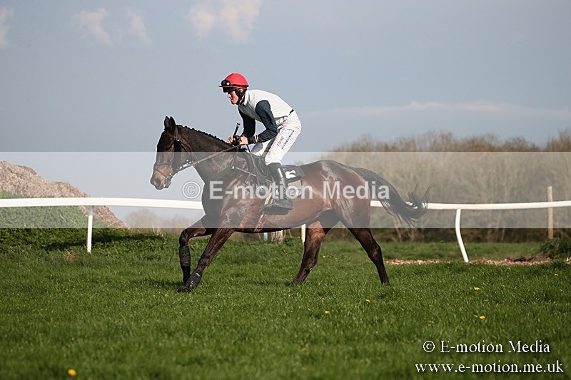 PtP 210418 564 - South & West Wilts Point-to-Point Larkhill 21/04/18