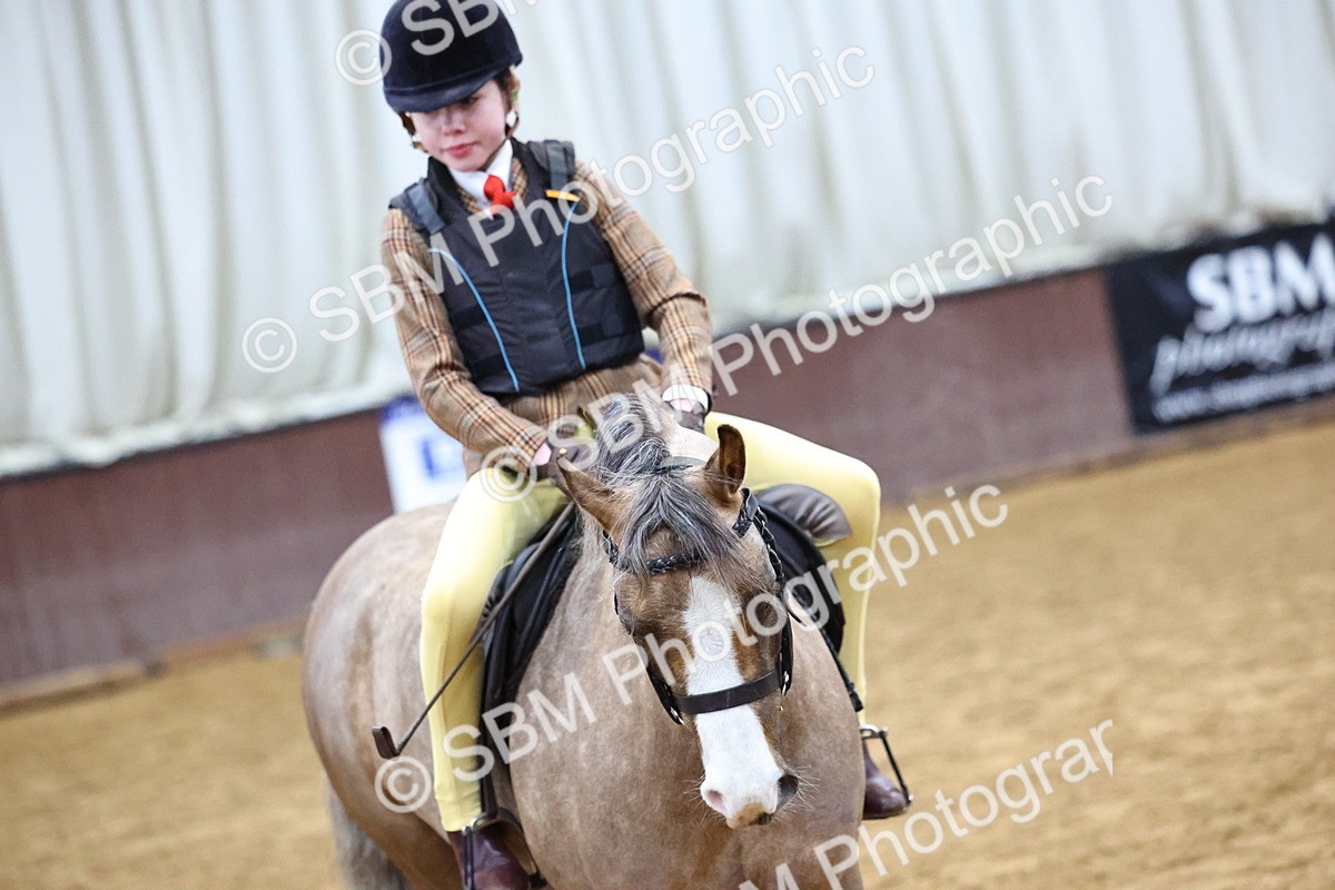 SBM_003051 - Class 35 - 60cm Training Stakes