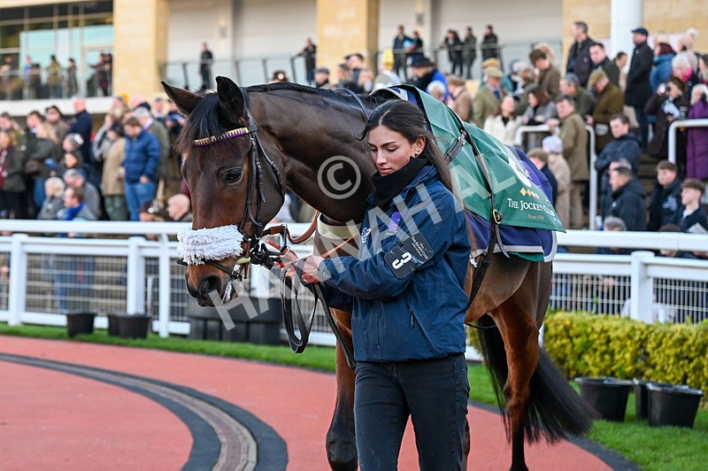 141224-Race 4-Le Patron-0698 - Race 4