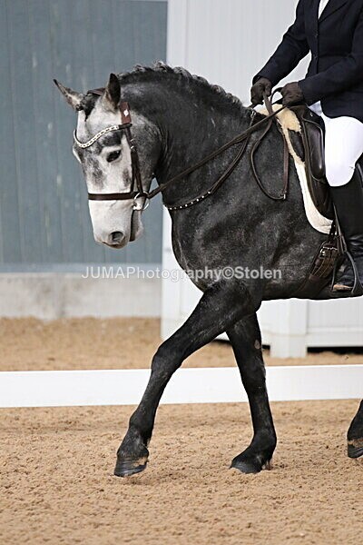 SIAL6949 - GDG Bogenraith Friday 26th Sept 2025