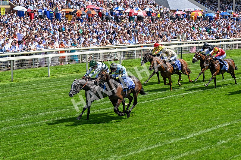 270626-Race 3-Naanas Shadow-0210 - Race 3 14.25pm Al Basti Equiworld Dubai Dash Handicap