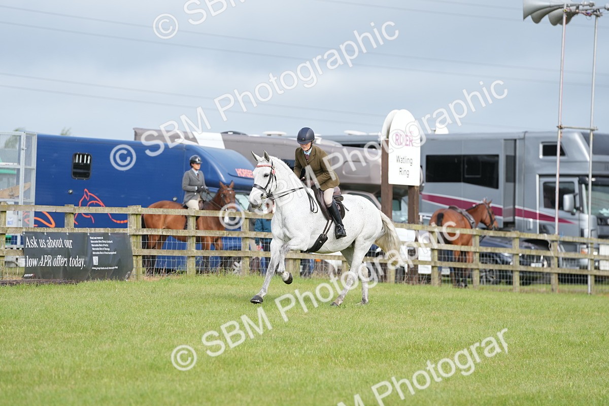 SBM_10591 - Class 97-98 - LIHS BSHA Rising Star Working Show Horse Hunter