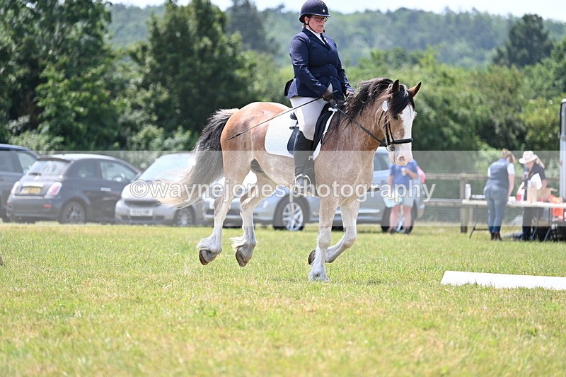 WJ7_8195 - Time 13:35 to 13:40