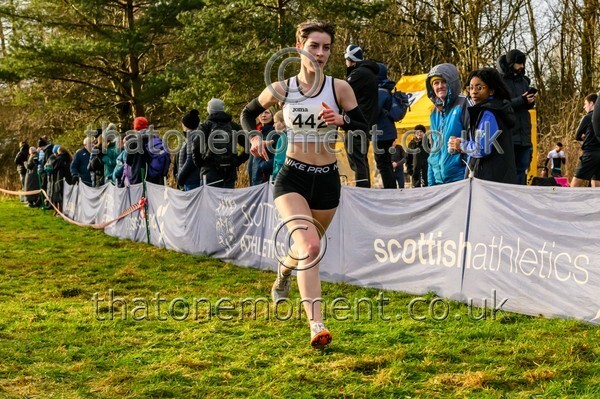 InterXC26-817168 - Senior women Set Two