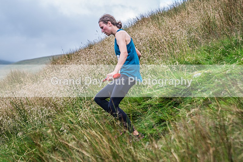 Steel Fell-507 - Steel Fell Race Wednesday 7th August 2024
