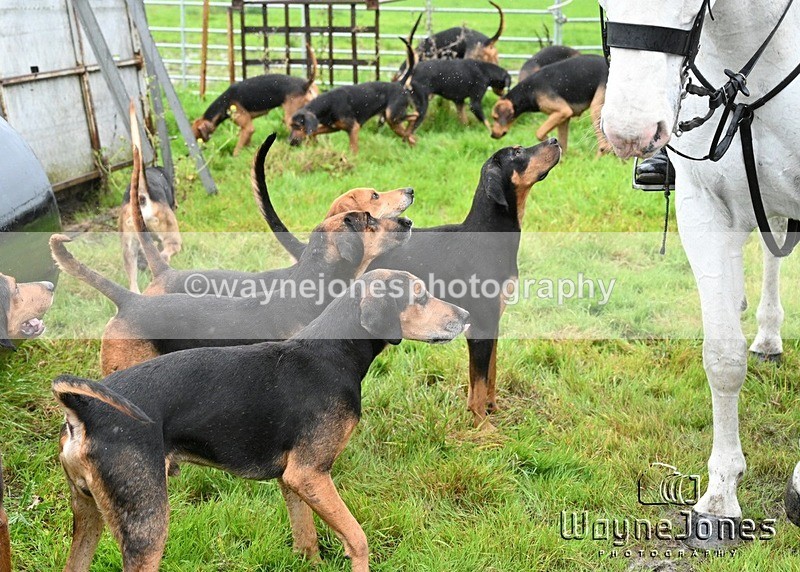 WJ7_8291 - Berks & Bucks Blackcroft Farm 20-10-24