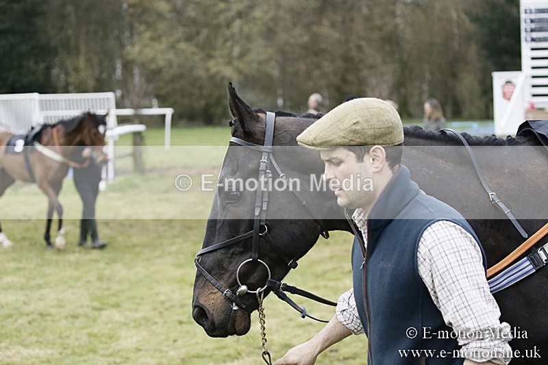 PtP 110318 187 - Hampshire Hunt Point-to-Point Hackwood Park 11/03/18
