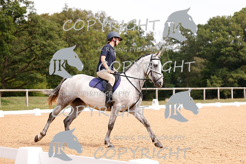 _R6A2566 - Dressage Morning