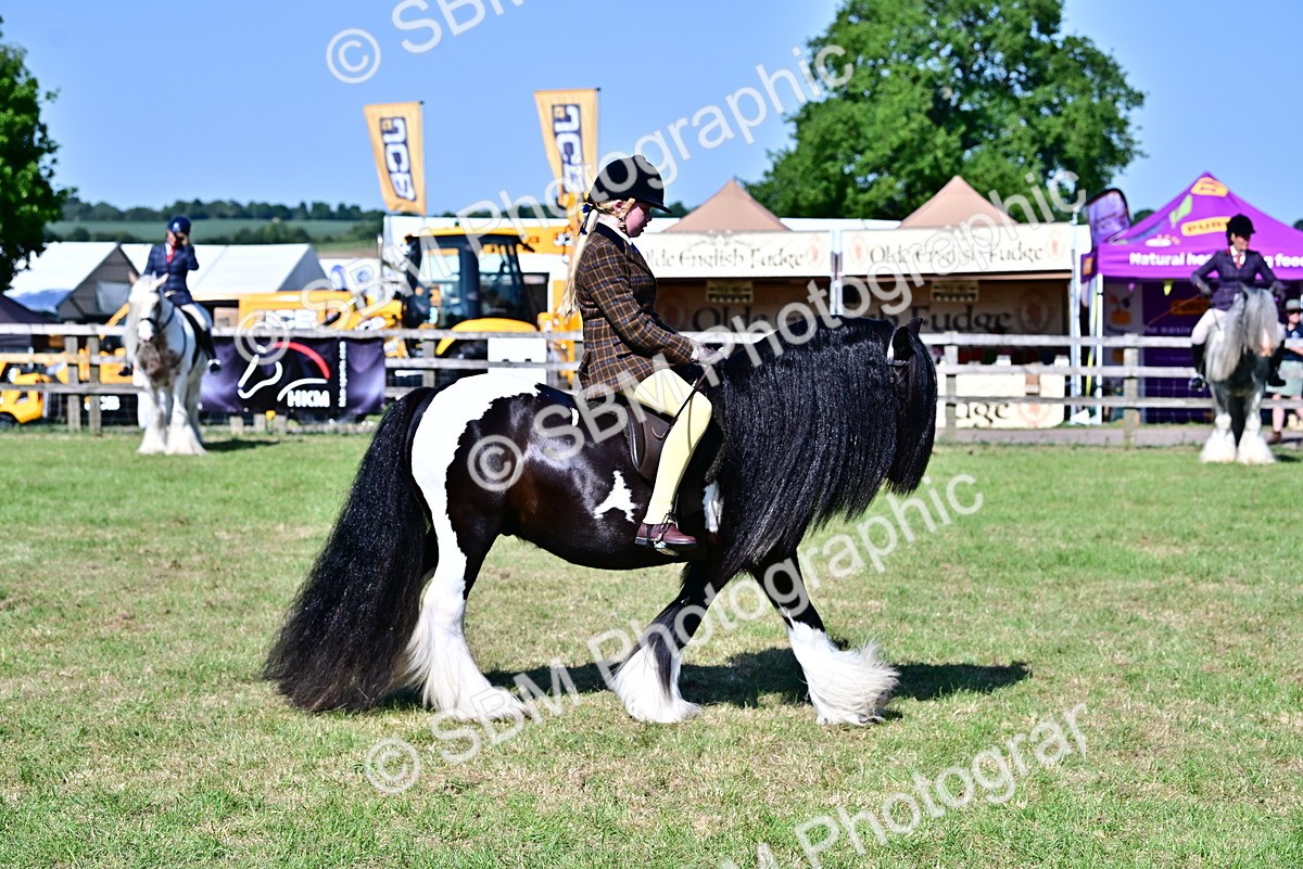 SBM_19405 - Class 101-102 - BSPS LIHS Performance Coloured Horse/Pony