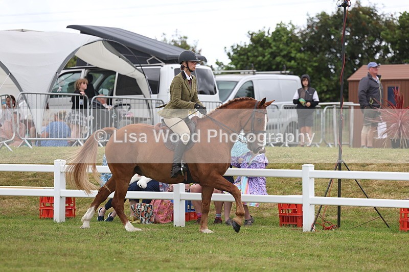 3E7A1416 - Class 9: Open Hunter