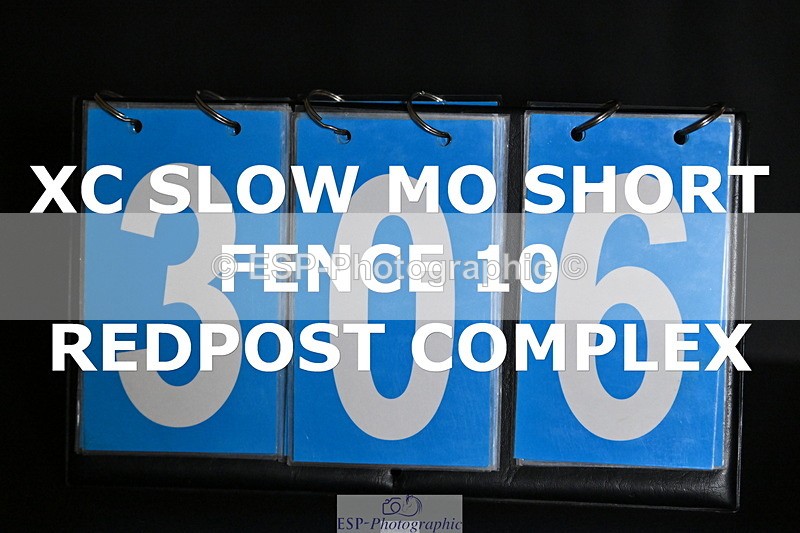 ESP_306 - D-306-Annabel.Mason