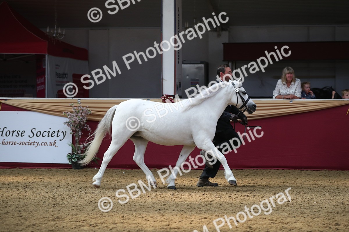 SBM_15282 - Class 501 M&M IH Supreme Final