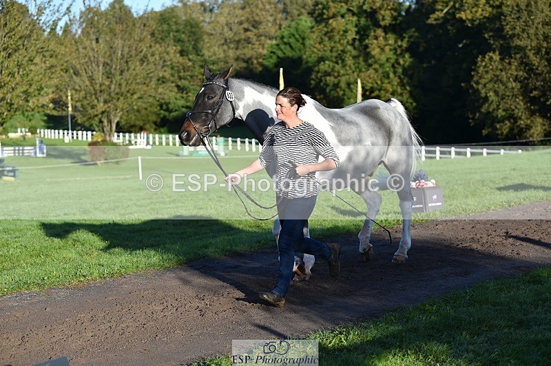 231022-092220-21738 - 622-CRAFTY.WIZARD-Heather.Urquhart-TrotUp+SJ