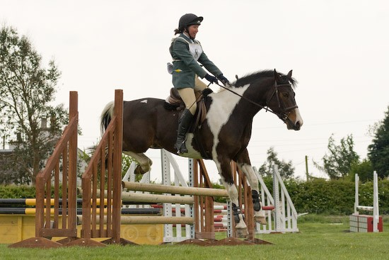 29 - Equestrian Photography