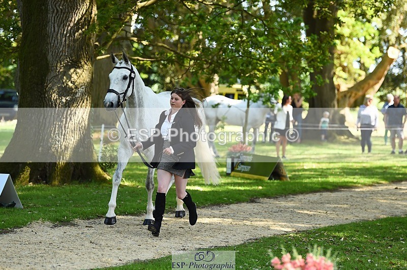 230524-161448-00784 - 259-KATE_BLUE-Millie_Juleff-WEDTrotUp+DR