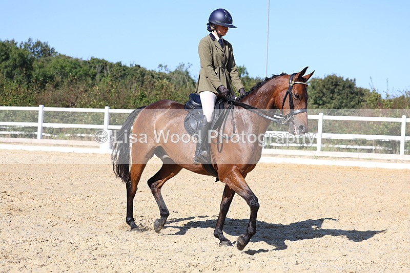 3E7A5731 - Class 10: Riding Horse