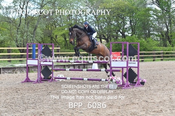 BPP_6086 - CLASS 29 SUN Senior Newcomers/ 1.10m Open