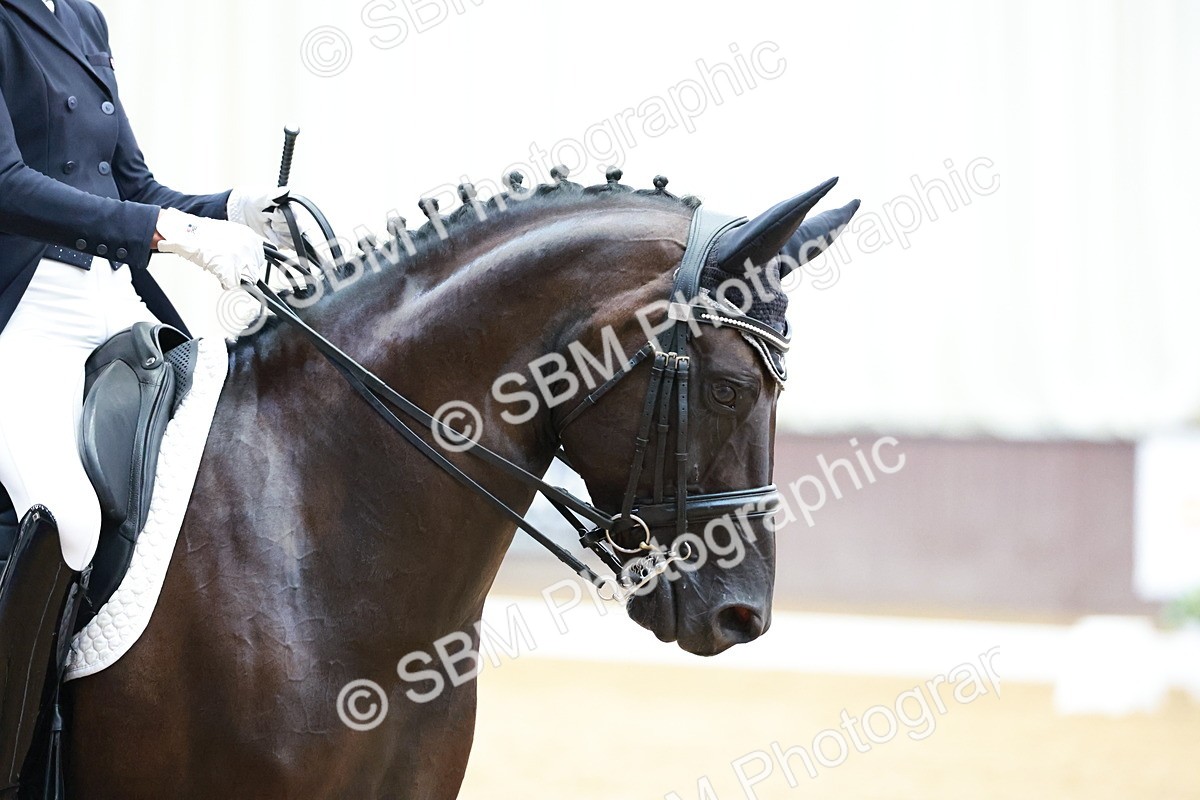 SBM_019156 - Class 12 - FEI PSG - 13.00-13.48