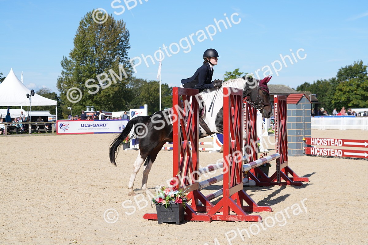 SBM_38711 - J21 - Junior Horse 60cm Championship