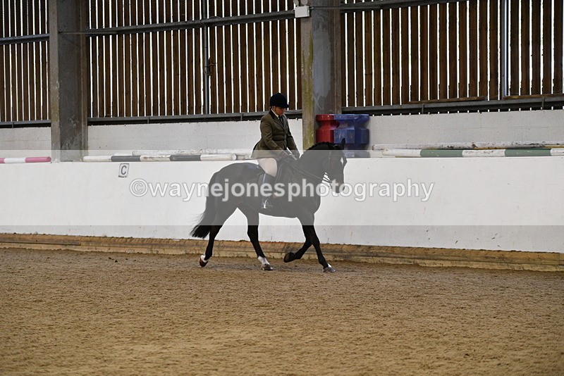 WJ5_7681 - Class 13 Ridden Part Breed