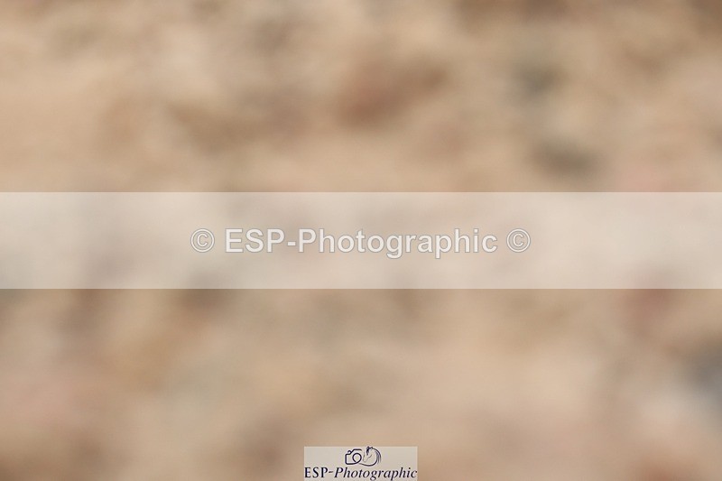 250622-125927-15263 - Cls 51 Elementary 6