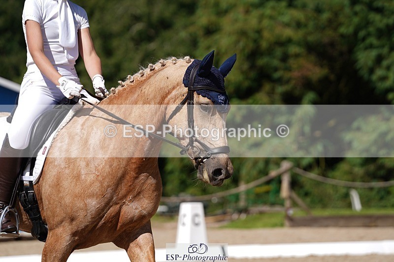240719-154706-02763 - 103-Elissa_Franks-Golden_queen