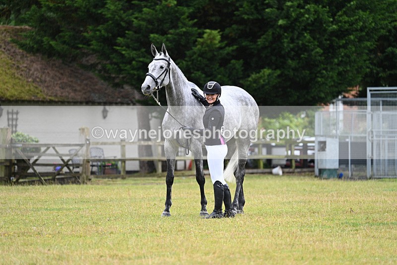 WJ7_6196 - Class 4a Prettiest Mare over 14hh