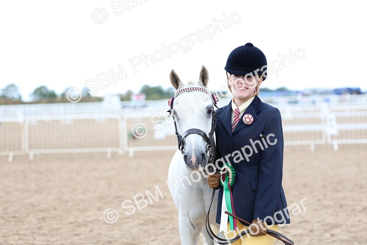 SBM_05144 - Class 27 - IH Competition Horse or Pony