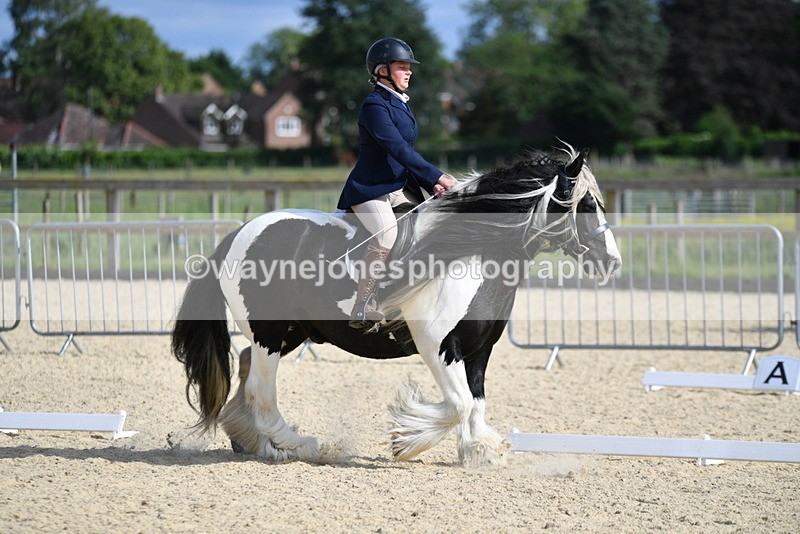 WJ5_7729 - Time 16:40 to 16:55