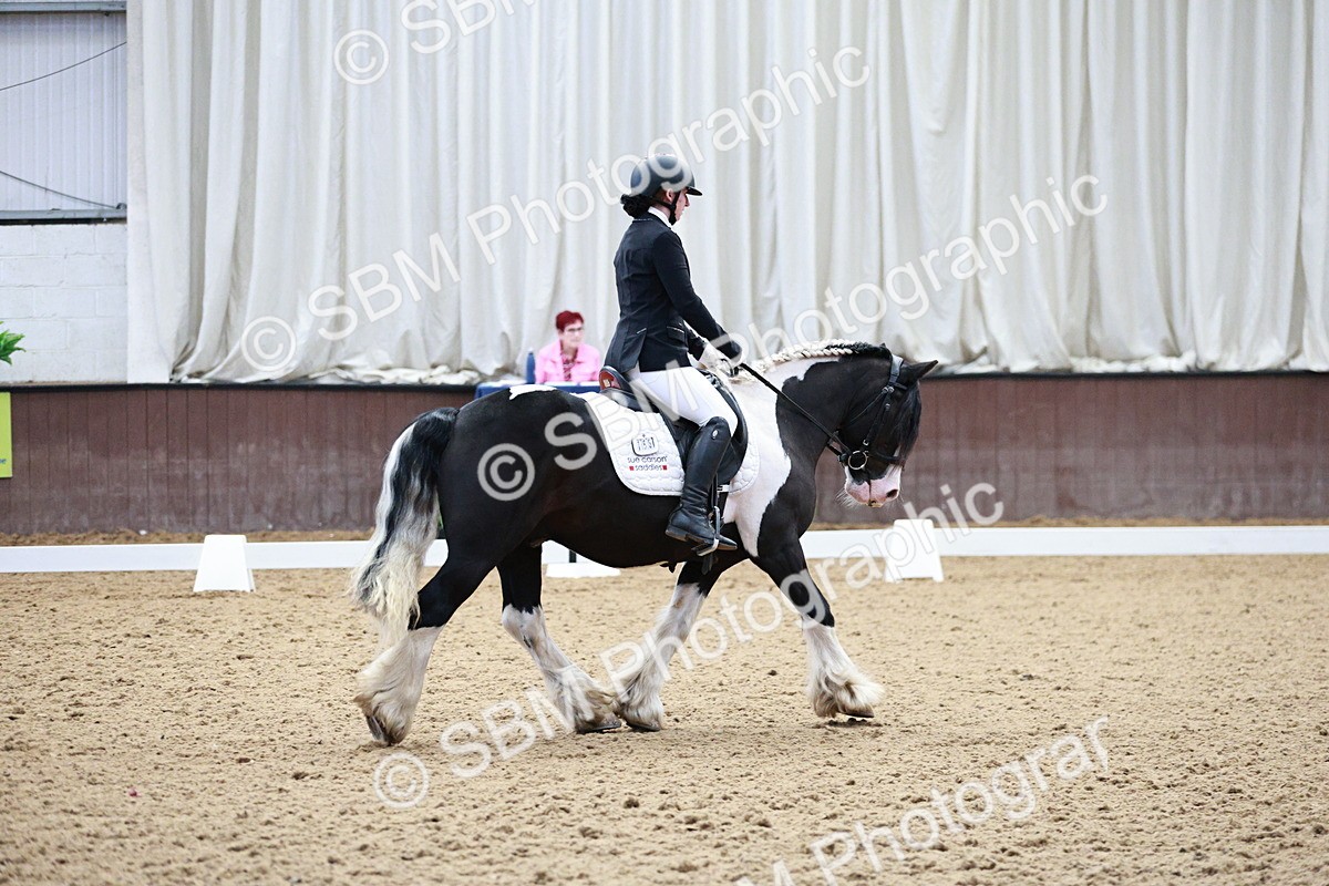 SBM_004108 - Class 13-19 - Novice FSM-INT 1 - 9.00-9.54