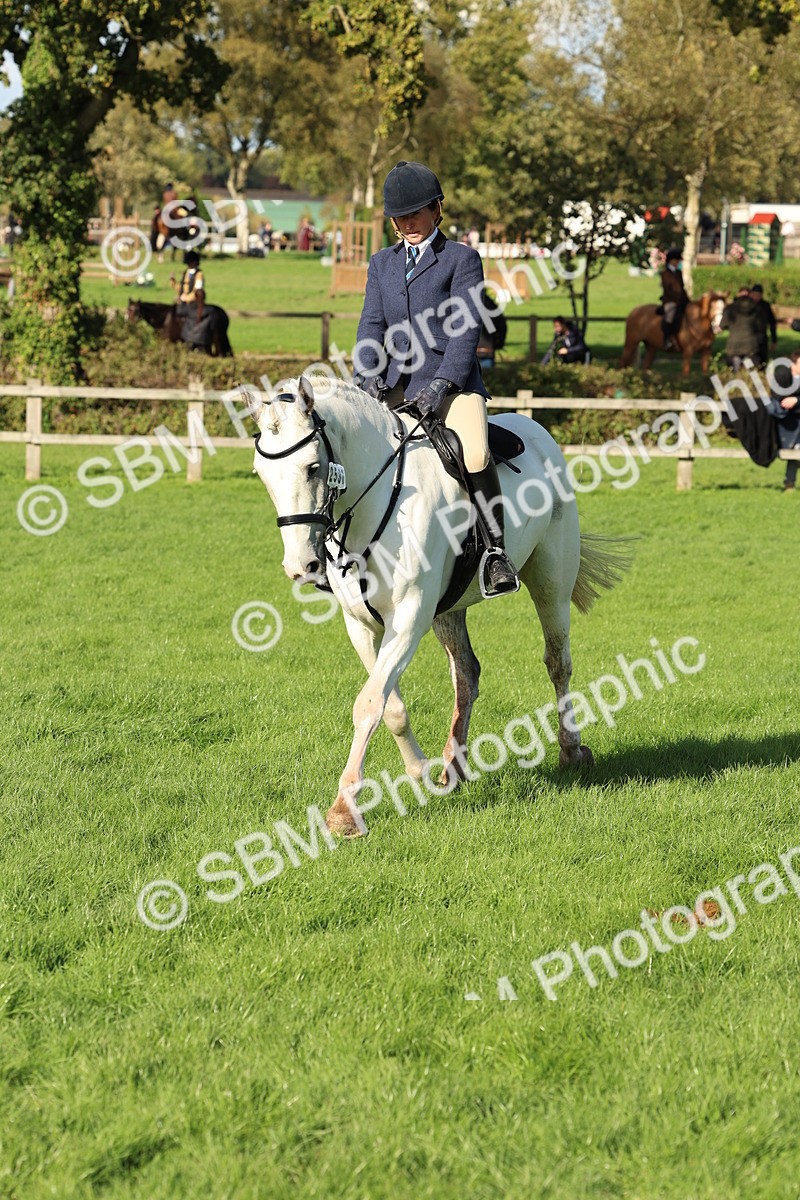 SBM_50091 - S34 - Novice & Newcomers Working Hunter