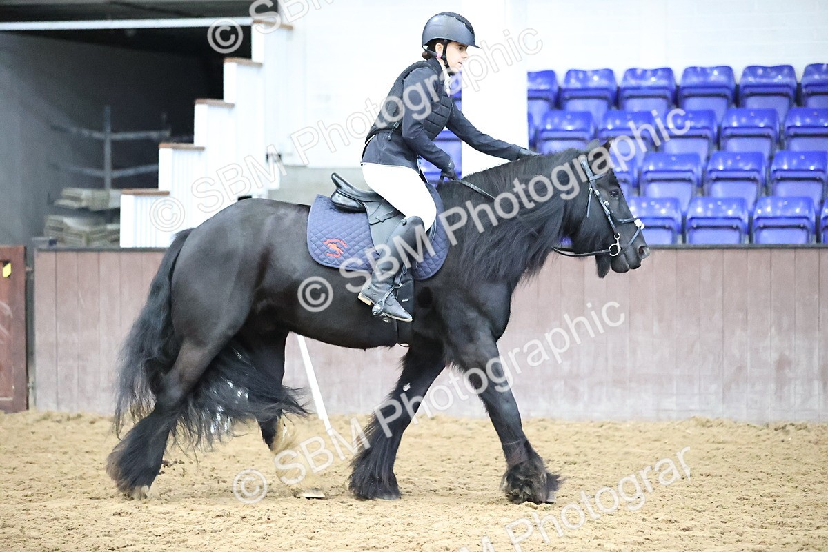 SBM_000188 - Class 2 - The Rug Lady 40cm Area 12 Championship Qualifier